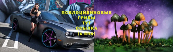 гашик Алексеевка