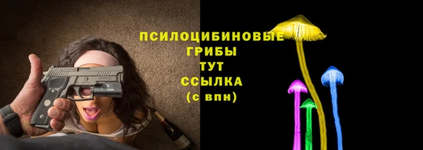 скорость Алзамай
