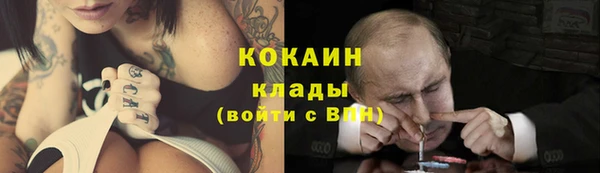 дмт Алексин