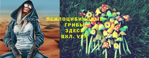 марки lsd Абаза