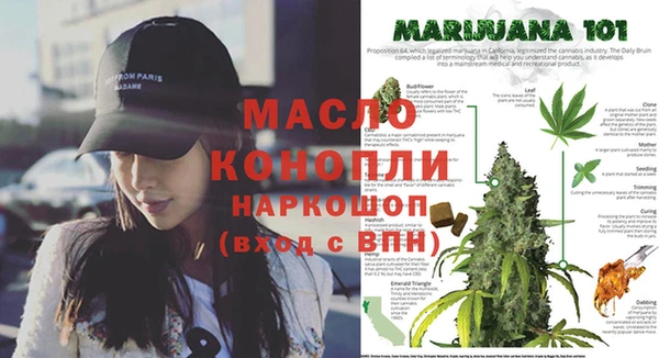 дмт Алексин