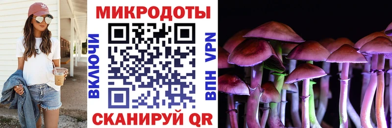 ссылка на мегу ССЫЛКА  Камызяк  маркетплейс телеграм  Псилоцибиновые грибы Psilocybe 